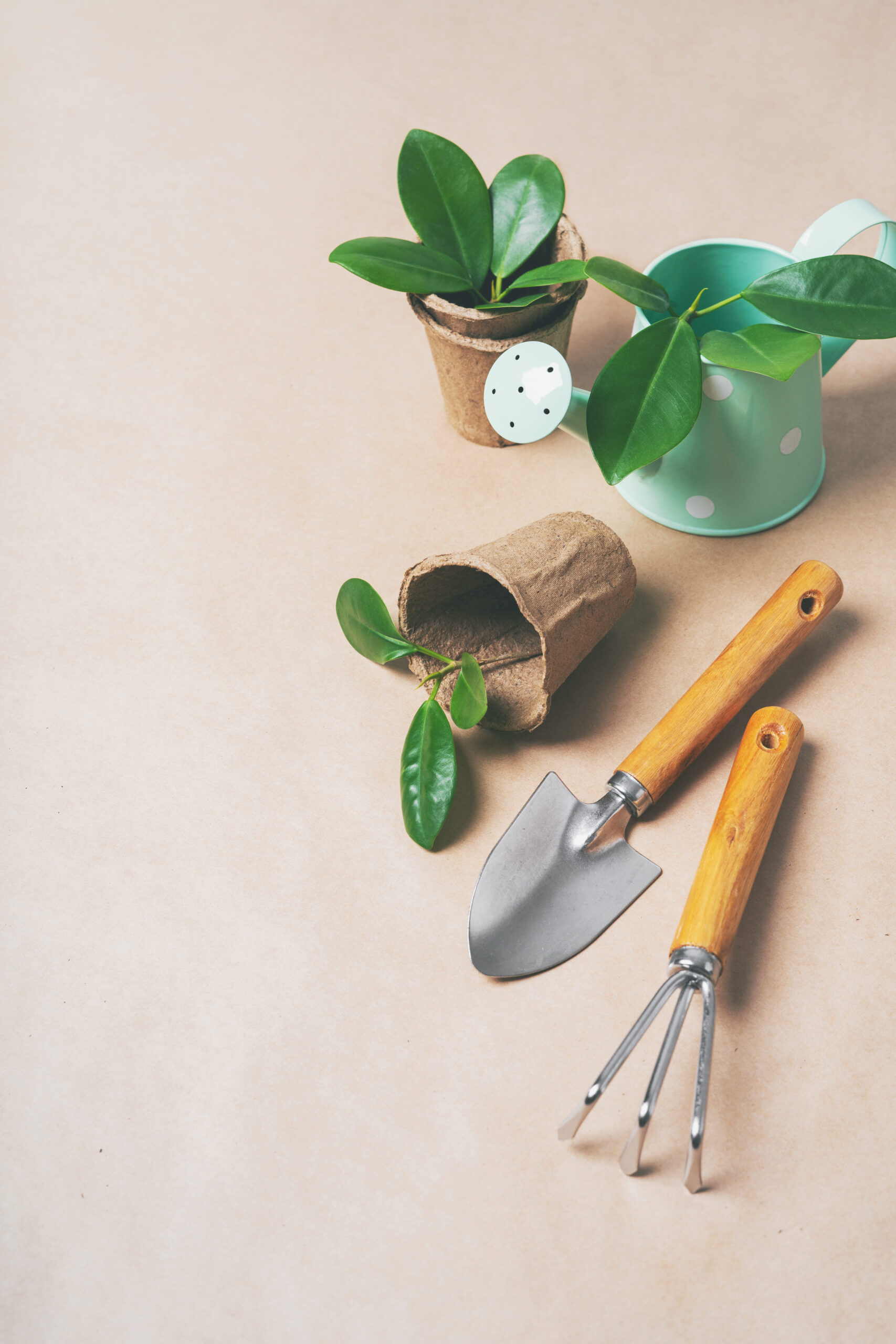 Have & gør-det-selv