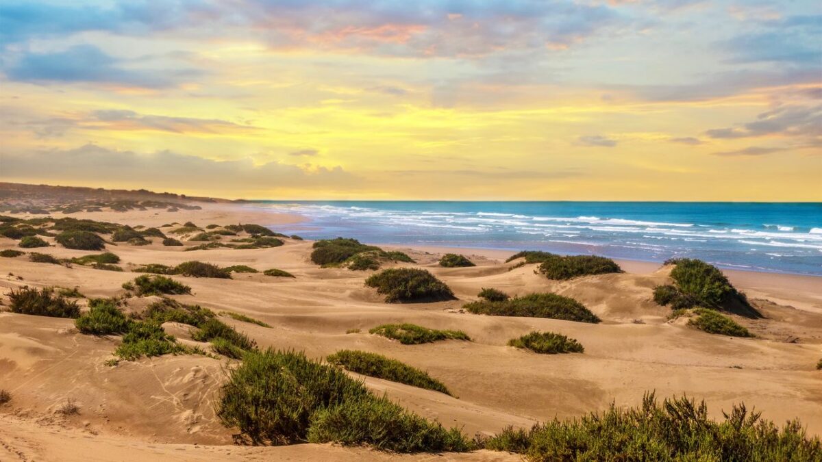 Tallinn to Agadir from €212