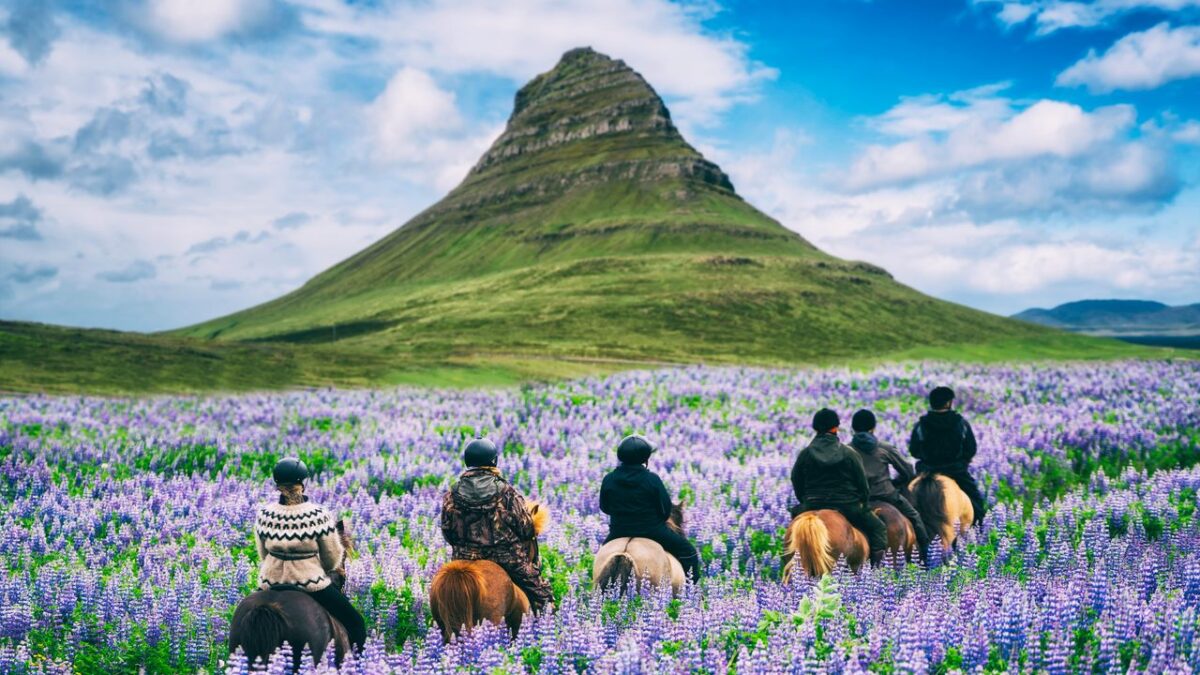 Tallinn to Reykjavik from €208
