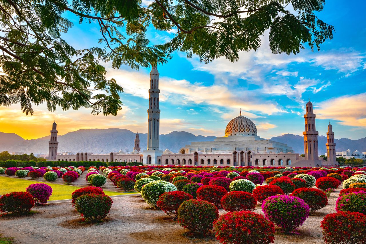 From Tallinn to Muscat from €332