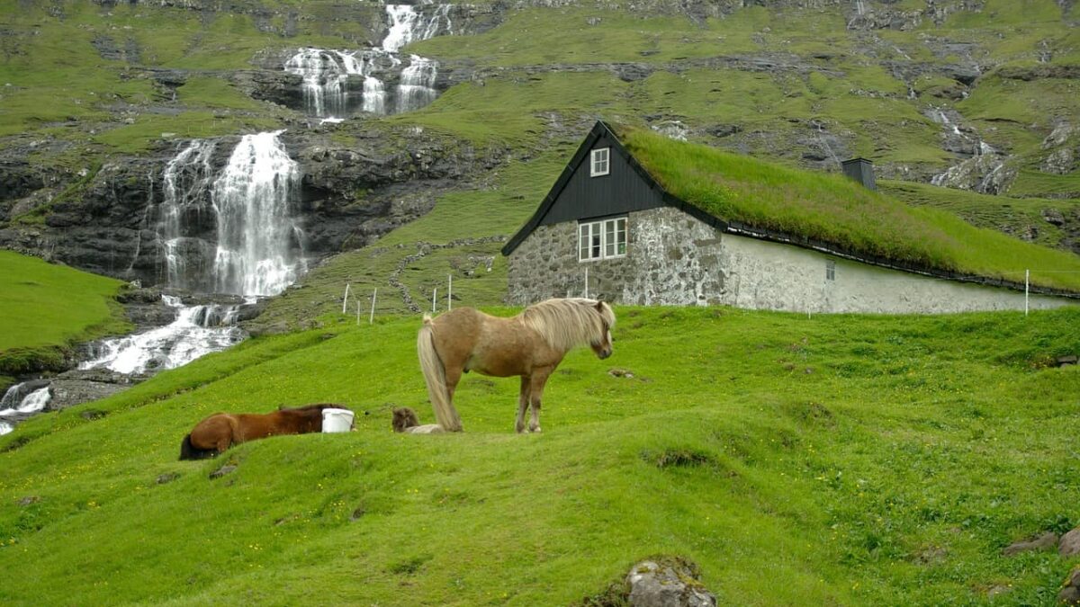 Tallinn to Faroe Islands from €251