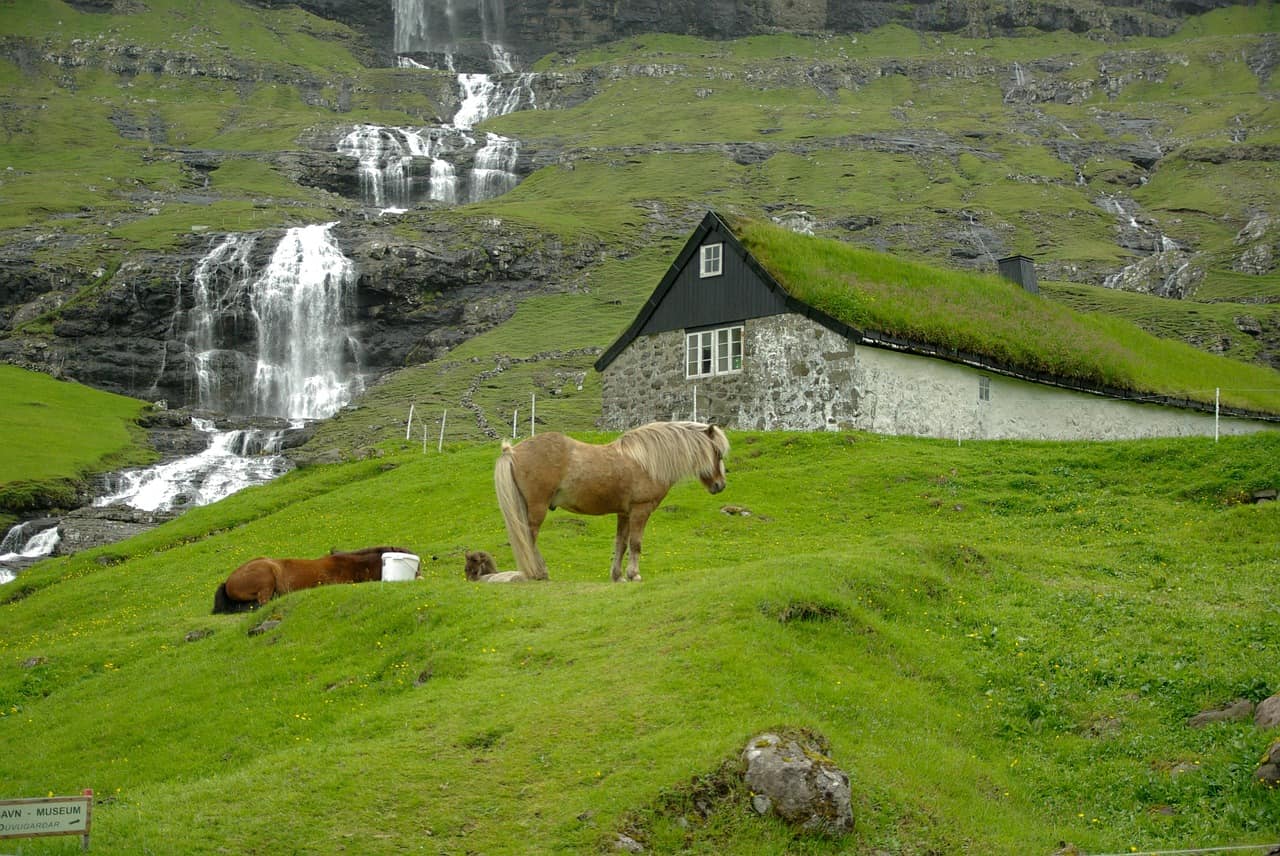 Tallinn to Faroe Islands from €251