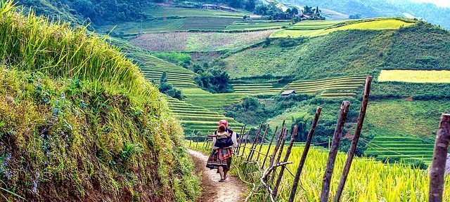Tallinn to Hanoi from €825